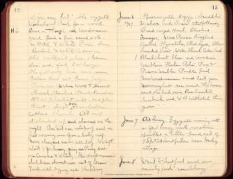 Field notes by Harry Hathaway, 1917. Audubon Society Rhode Island Records, MSS 271, box 3